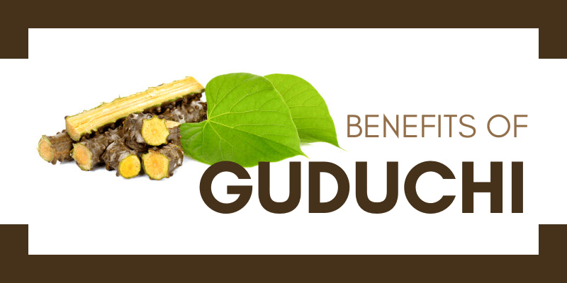 What are the benefits of Guduchi?