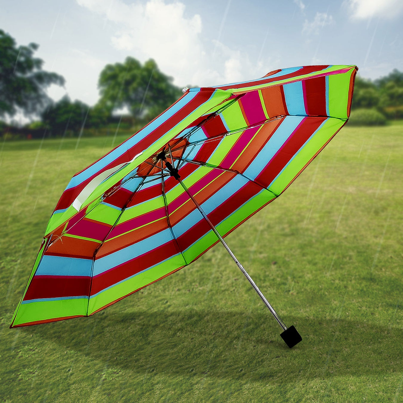 Umbrella