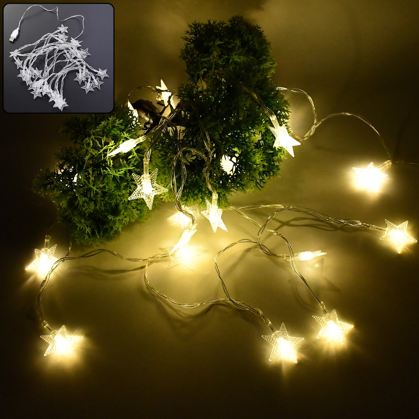 Decorative and String Lights