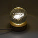Decorative Night Lamp