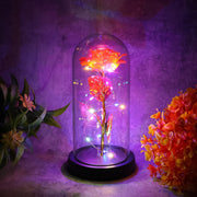 Close-up of LED eternal rose in plastic dome showing intricate details