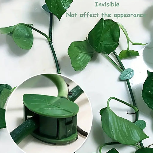 Self-adhesive plant climbing clips blending with green vines on a wall.