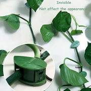 Leaf-shaped green plant climbing clips neatly arranged on a white background.