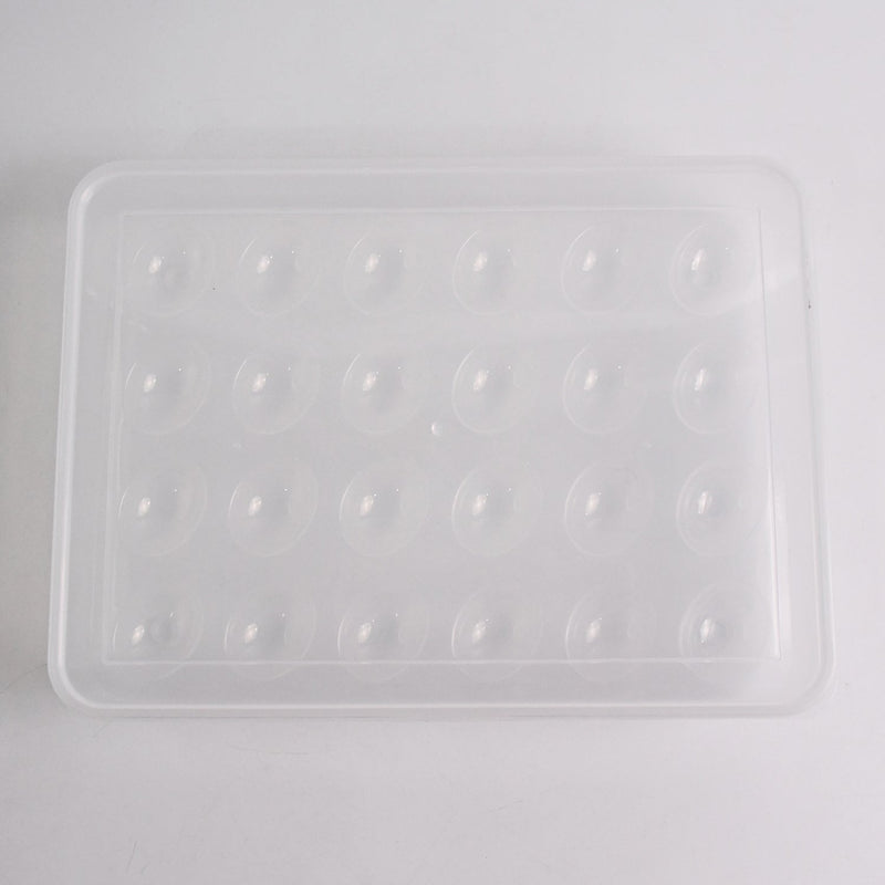 Clear plastic egg container next to traditional egg carton for size comparison