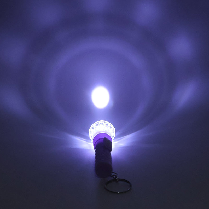 Mini LED keychain torch showing push-button switch and plastic body