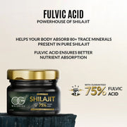 OG Wellness Shilajit resin supporting immunity and mental clarity
