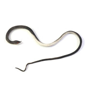 Durable rubber snake prank toy for playful tricks and scares