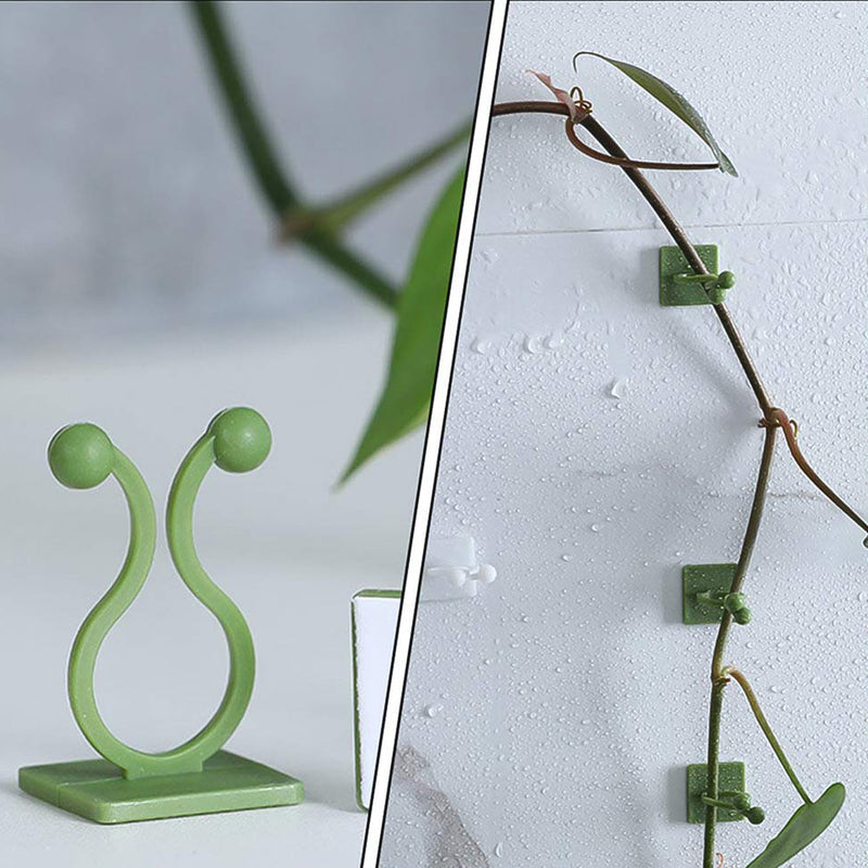 Self-adhesive plant climbing clips blending seamlessly with green foliage on a wall.