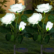 Solar garden decorative flower lights glowing in outdoor garden at night