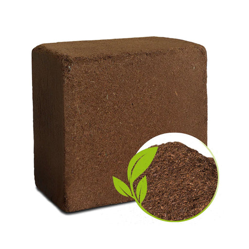 Styleva Organic Cocopeat Block, 1 KG, shown ready for use in home gardening.