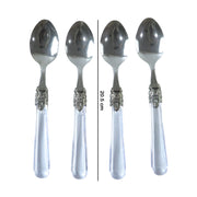 Food-grade stainless steel dessert spoons with stylish transparent handles