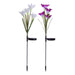 6616B Waterproof Outdoor Solar Lily Flower Stake Lights ( Pack Of 2 pcs ) 