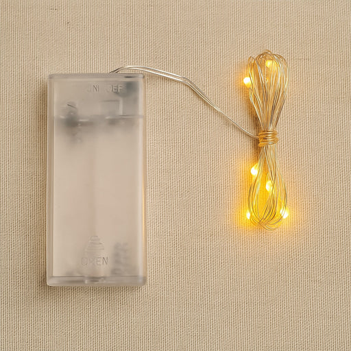 Copper wire string fairy lights with warm white 30 LED bulbs glowing beautifully.