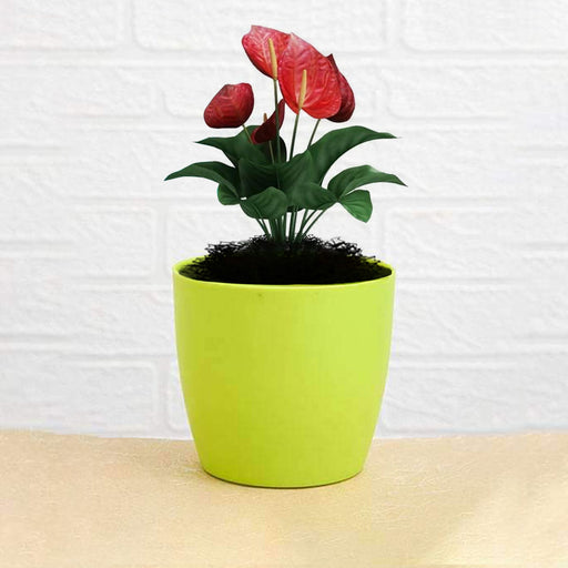Durable plastic flower pot with a round shape, ideal for indoor and outdoor plants.
