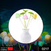 217 LED Dream Night Light, Auto ON/Off Sensor Mushroom Lamp (Multicolor) 