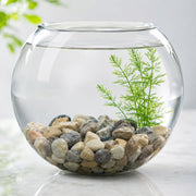 River pebbles used as garden decor and top dressing