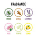 6284 World Air freshener Flowers Block for Bathroom and Toilet 