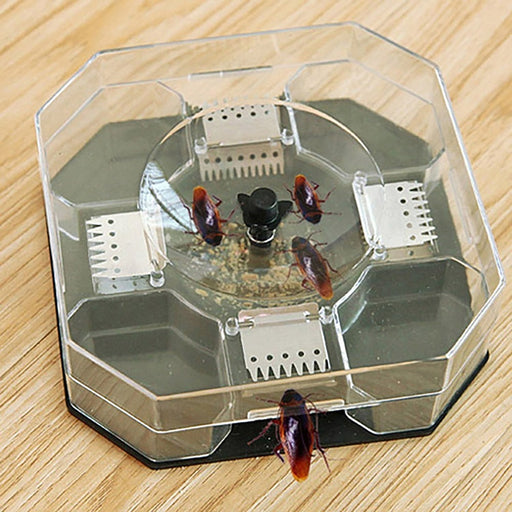Grow Vanta Cockroach Trap Box, a non-toxic solution for pest control in Indian homes.