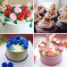 2517 Cake Decorating Stainless Steel Nozzle (6pcs) 