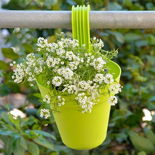 Multicolour plastic hanging planter pot displayed on a railing.