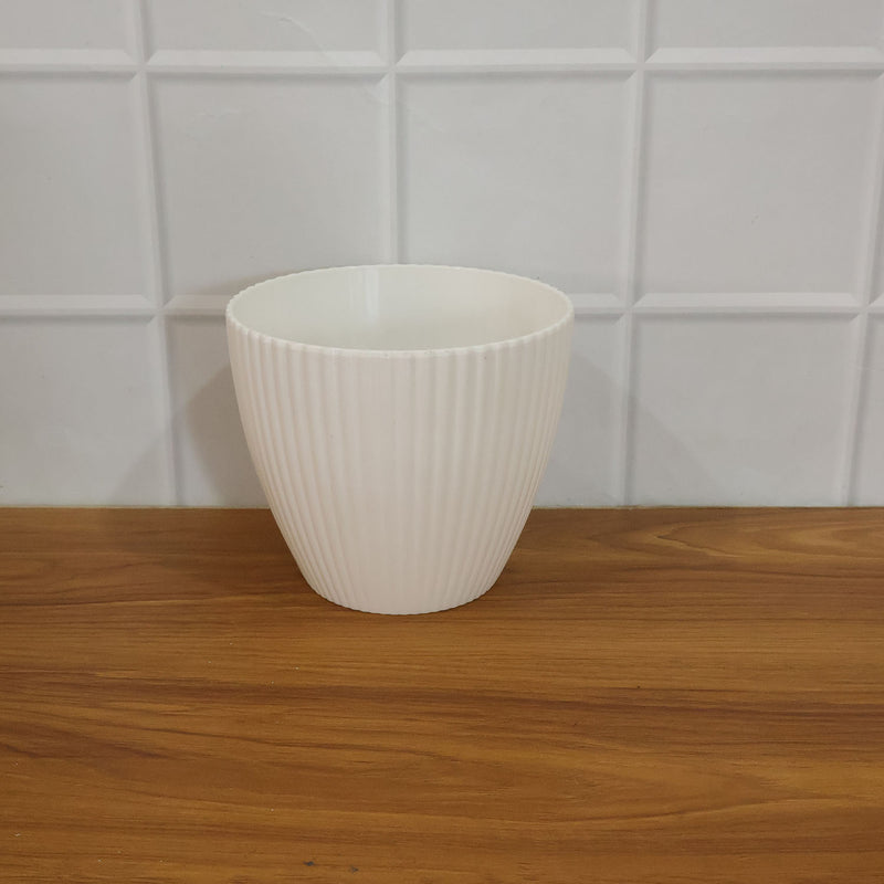 Live plant growing healthily in a white ribbed flower pot