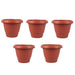 0822 Garden Heavy Plastic Planter Pot/Gamla  (Brown, Pack of 1) 