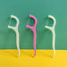 1096 Oral Care Dental Floss Toothpick Sticks 