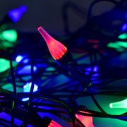 Multi-color LED string light displaying energy-efficient bulbs on flexible wire