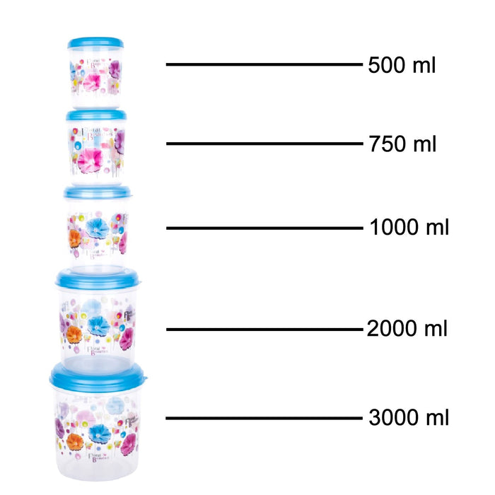 2446 Plastic Transparent Container Air Tight Dabba Set (3000ml, 2000ml, 1000ml, 750ml, 500ml) 