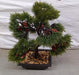 4938 Artificial Potted Plant with Square Pot 